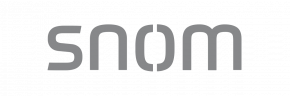 Обзор бренда и новинок Snom