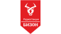 Бизон