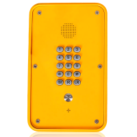 Переговорное устройство | Termit PublicPhone | WHF101FK