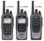 Icom IC-F3400DS