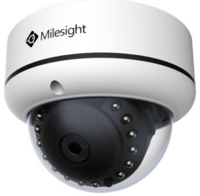 Milesight MS-C2173-P