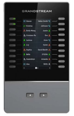 Grandstream GBX20