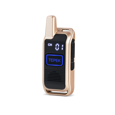Рация | радиостанция | портативная | ТЕРЕК СПОРТ | Золотой