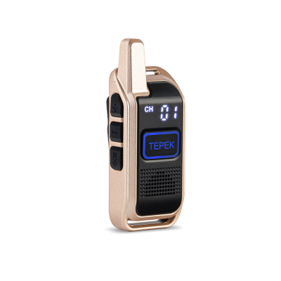 Рация | радиостанция | портативная | ТЕРЕК СПОРТ | Золотой