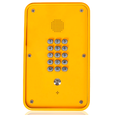 Переговорное устройство | Termit PublicPhone | WHF101FK