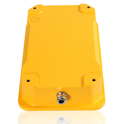 Переговорное устройство | Termit PublicPhone | WHF101FK