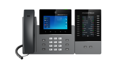 Grandstream GXV3350