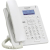 Panasonic KX-HDV100RU