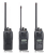 Icom IC-F2100DS