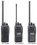 Icom IC-F1100DT